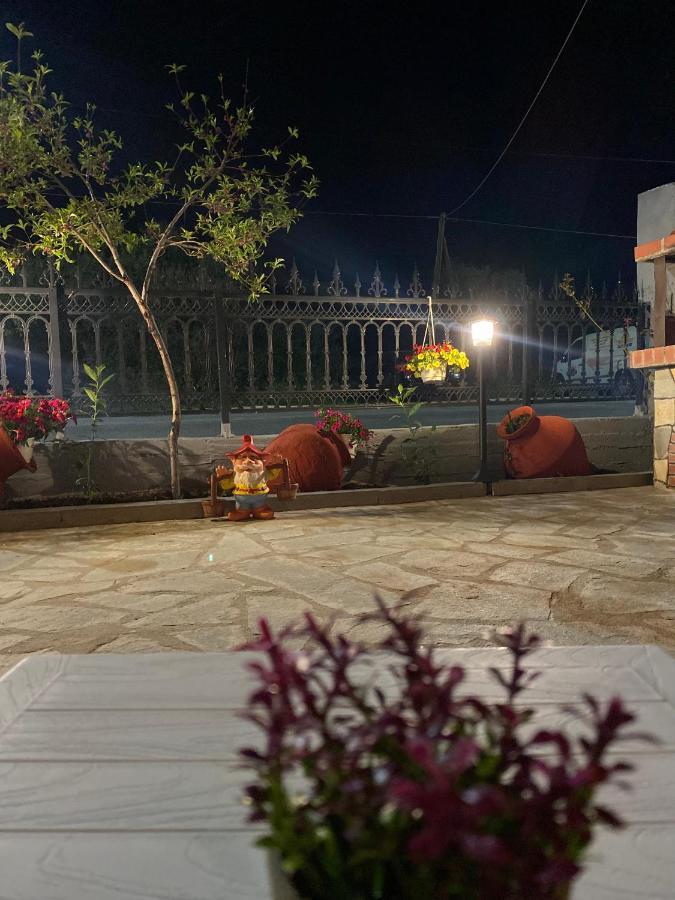 Veni's Apartment Potos